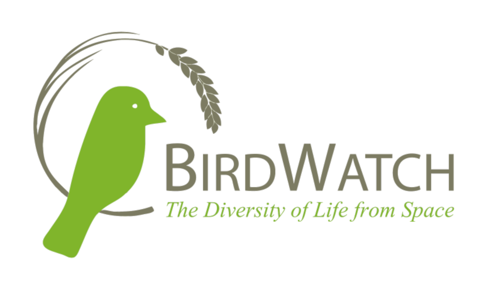 birdwatch logo